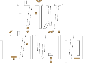 מגדלי הקונסוליה